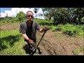 vetiver grass planting