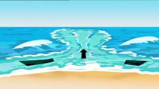 Surf Education