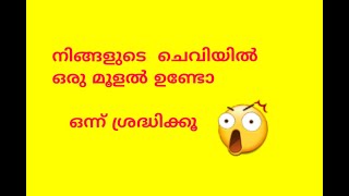 നിങ്ങളുടെ ചെവിയിൽ ഒരു മൂളൽ ഉണ്ടോ