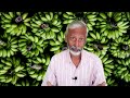 வாழைப்பழம் சரியாக உரிக்க தெரியுமா சாப்பிட தெரியுமா how to get maximum benefits of banana