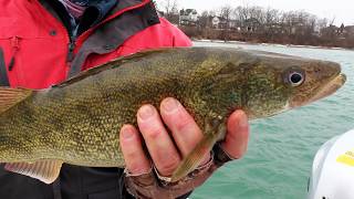 Using swim baits for Walleye