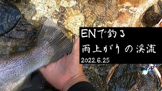 【ユーロニンフ】2022.6.25 ENで釣る雨上がりの渓流【Euro Nymphing】