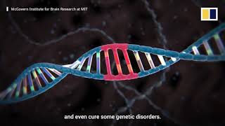 CRISPR/Cas9: a gene-editing tool with promise and peril