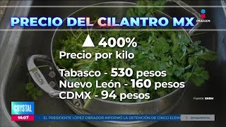 ¡Por los cielos! El cilantro sube de precio hasta un 400% | Noticias con Crystal Mendivil