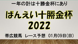 【ばんえい競馬】ばんえい十勝金杯2022予想　ホクショウマサルに続けるか