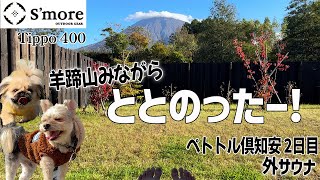 【夫婦キャンプ】外サウナ最高!!「ペトトル倶知安」2日目!!テントのカビも撃退しました【後編】【犬連れキャンプ】