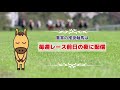 阪神カップ2024の推奨軸馬【最終結論】