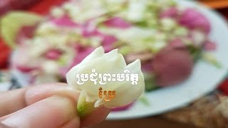 ៙៚ប្រជុំព្រះបរិត្ត៙៚ ប្រែ