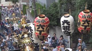 平成28年　品川＜両社祭＞小山八幡神社宵宮　連合渡御・宮入