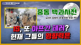 [세만시] “IS, 또 아프간 테러? 현재 그들의 영향력은” (김영미) 3.16(월)/ YTN 라디오