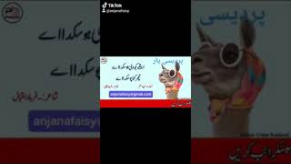 ایتھے کجھ وی ہو سکدا اے