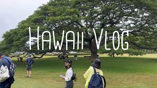 Hawaii vlog この木なんの木？気になる木 日立CMロケ地 ハワイ オアフ島 ホノルル市内観光 カメハメハ大王像 HAWAII FIVE-0 ハワイファイブオー本部はハワイ州最高裁判所