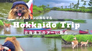 Vlog:We rode a canoe with a Pomeranian in Hokkaido.