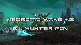 [와우 내부 전쟁] 죽음의 상흔 15단 야수 사냥꾼 시점 / [WoW TWW] Mythic+15 :The Necrotic Wake BM hunter pov 11.0.5