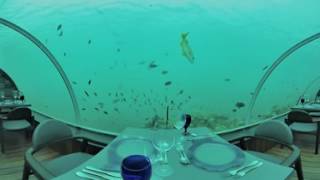 RV LIFE 🏕 Underwater Dining at Hurawalhi See Why I'm Starting 360 VR