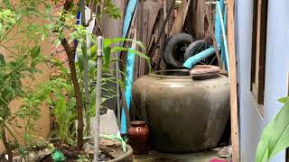 Landscape around the house when it rains[ទេសភាពជុំវិញផ្ទះពេលមេឃភ្លៀង