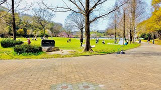 【4K】Japan Walking Tour | Heiwa Park Full of People \u0026 Spring Flowers | #ASMR