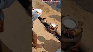 Thanipatti village matu 🐂 pongal 🌾 sivagangai semmai 💪tamilnadu 🔥 India 🇮🇳