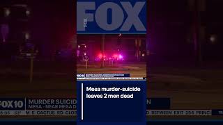 Mesa murder-suicide: 2 men found dead