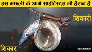 समुन्द्र की गहराई में पाए जाने वाले 6 बेहद अजीब और डरावने जीव | 6 Strange Deep Sea Creatures