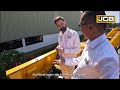 JCB 215NXT Product Walkaround