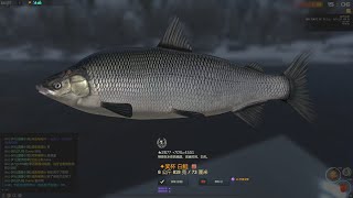 Fisher Online - 活動圖 : 冬日童話Winter story - 白鮭White fish