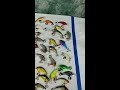 handmade balsa fishing lures. r.kibort