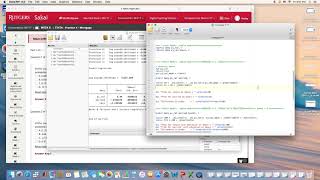 Example 4: Stata For Binary Dependent Variable Model
