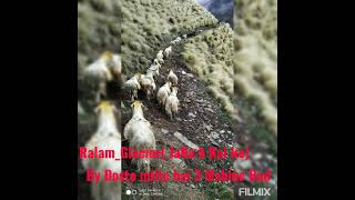 Ralam_Glacier videos (24_5_2021)