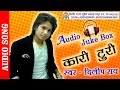 NEW CG SONG KARI TURI DILIP RAY HIT CHHATTISGARHI GEET HD VIDEO 2016 AVM STUDIO RAIPUR