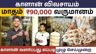 ₹90,000 வருமானம் தரும் காளான் விவசாயம் | How to Start a Mushroom Framing in Tamil