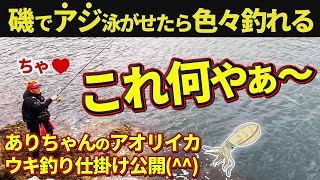 【磯釣り】アジを泳がせて、アオリイカを釣っちゃおう大作戦‼️