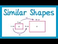 Similar Shapes - GCSE Maths