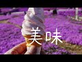 2024 道東ツーリング１日目　東藻琴芝桜公園