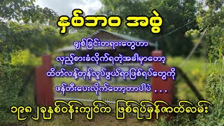 နှစ်ဘဝ အစွဲ  (၁၉၈၂ခုနှစ် ဝန်းကျင်က ဖြစ်ရပ်မှန်ဇာတ်လမ်း)