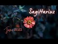 Sagittarius♐️The Ultimate Risk❗You Had No Idea They Felt This Way❤️ This Decision Changes It All!!🌹