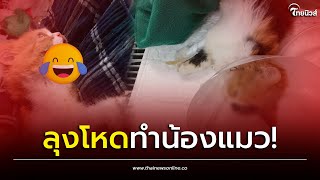 ทาสแมวกำหมัด! ลุงโหดฟาดน้อง ต่อหน้าเจ้าของ อาการสาหัสเสียชีวิต | Thainews - ไทยนิวส์