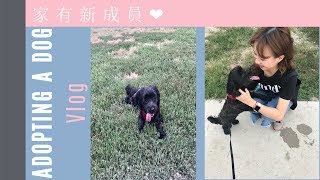 Vlog｜家裡要有新成員了｜領養狗狗｜Dog's Adoption Day Vlog