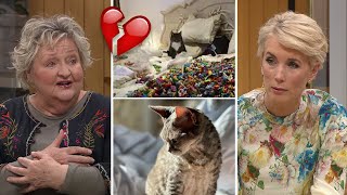 Jenny och Marianne Mörck möts i sorgen efter katterna | Nyhetsmorgon | TV4 \u0026 TV4 Play