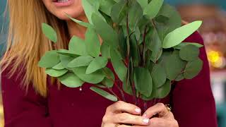 Eucalyptus Leaf Greenery Collection by Valerie on QVC