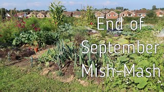 End of September Mish Mash Video - Just a bit of this and that again