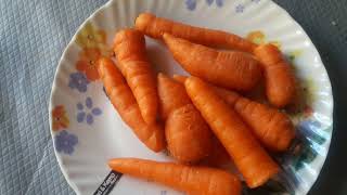 Carrot Health Benefits In Telugu | క్యారెట్ తినడం వల్ల మన హెల్త్ కి ఎన్ని ప్రయోజనాలు ఉన్నాయో చూడండి