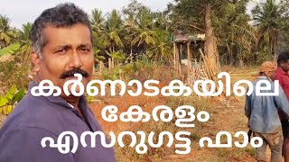 മണ്ണിൽ പൊന്നു വിളയിക്കുന്ന കൃഷി ഭൂമി | ബാംഗ്ലൂർ എസറുഗട്ട ഫാം | BCMVILLAGEROADS