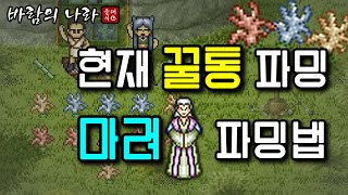 시간당 100만전 개꿀통 ~마려 파밍 방법~ [바람의나라 클래식]