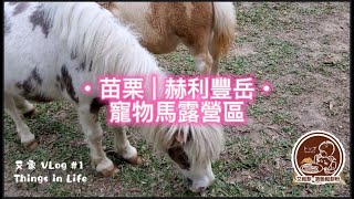 露營可騎馬\\苗栗南庄\\赫利豐岳露營區\\兒玩記\\寵物馬的味