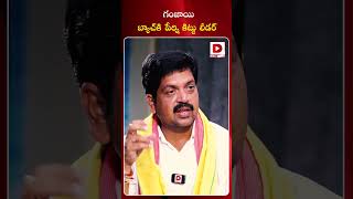 గంజాయి బ్యాచ్‌కి పేర్ని కిట్టు లీడర్‌ || Kollu Ravindra Comment on Perni Kittu | Dial News