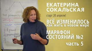 Марафон состояний №2: «Все изменилось. Как жить в новом мире. Часть 5»