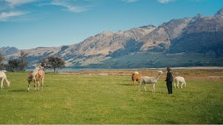 NEW ZEALAND | our South Island experience 🏔💛