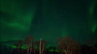 Nordlys over Fingervann