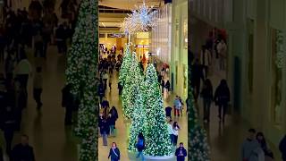 Beautiful Christmas Trees in the Yorkdale Mall, Toronto